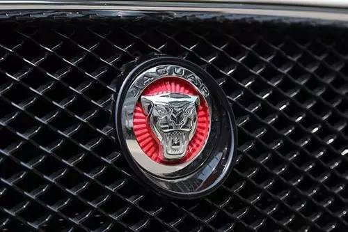 車標(biāo)上的動物都是啥來頭？看完又能出去裝X了