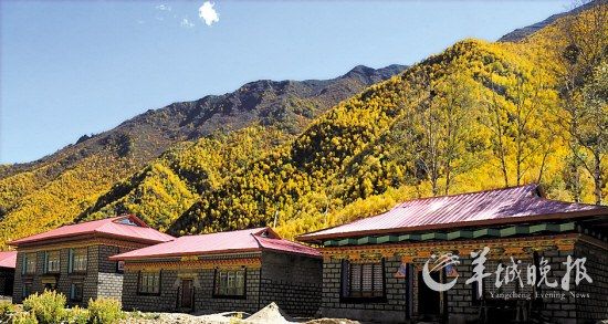 林芝地區(qū)的民居 覺果 攝